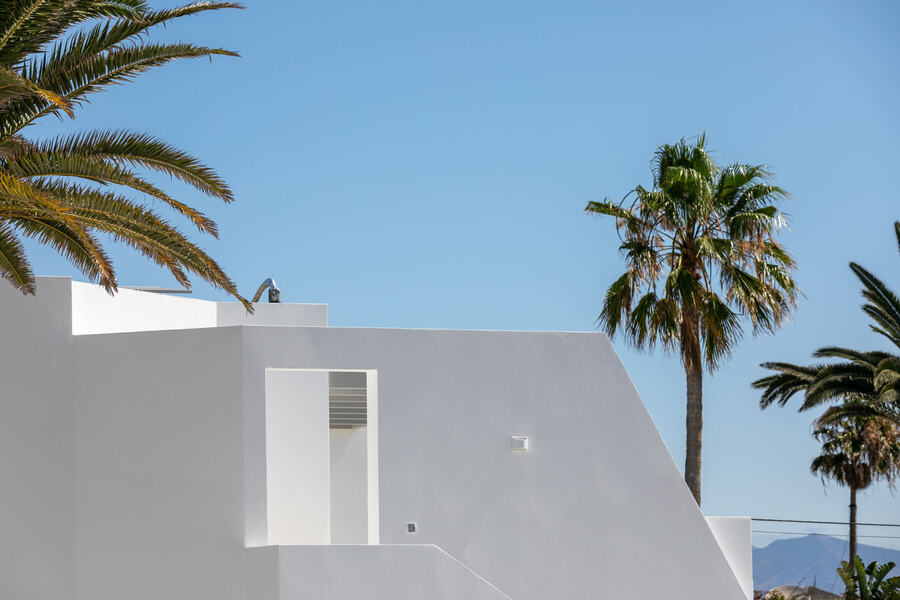 Architettura bianca e palme